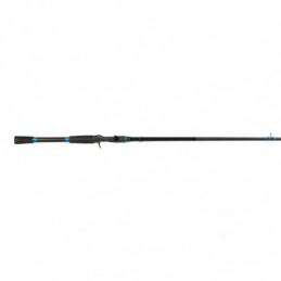 Shimano SLX Rods